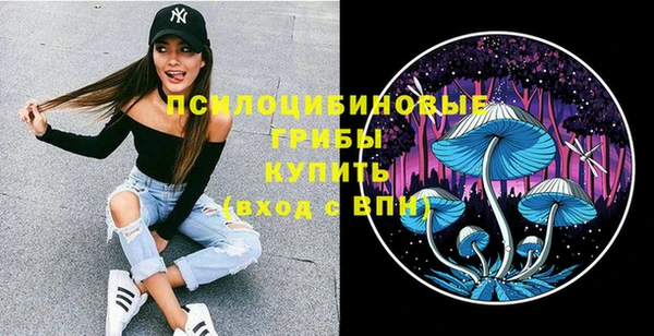 не бодяженный Заводоуковск