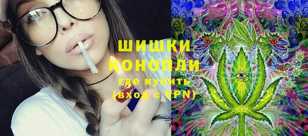PSILOCYBIN Заволжье