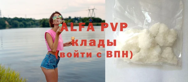 PSILOCYBIN Заволжье