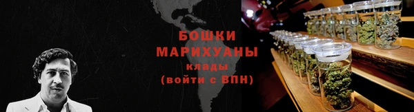 PSILOCYBIN Заволжье