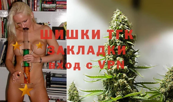 не бодяженный Заводоуковск