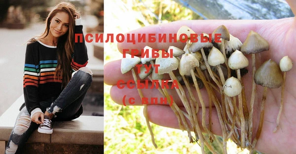 героин Заволжск