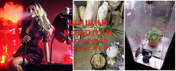 не бодяженный Заводоуковск