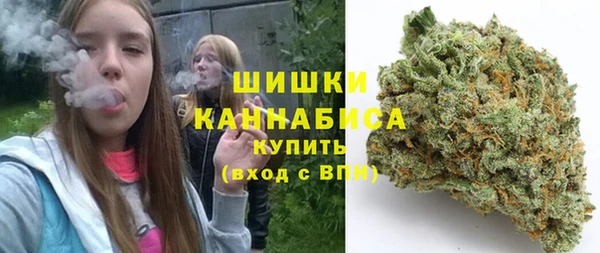PSILOCYBIN Заволжье