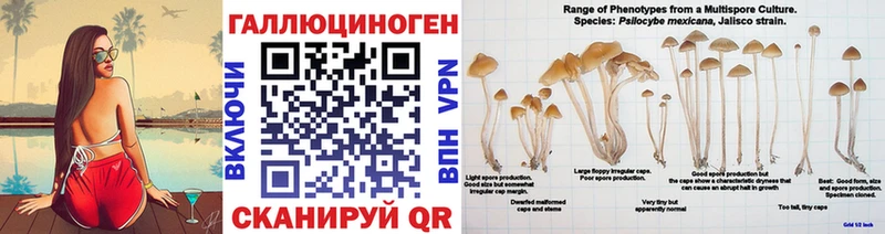 Галлюциногенные грибы прущие грибы  Иннополис 